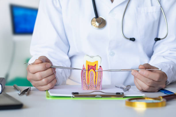 Best Root Canal Emergency Dentist  in Honeygo, MD